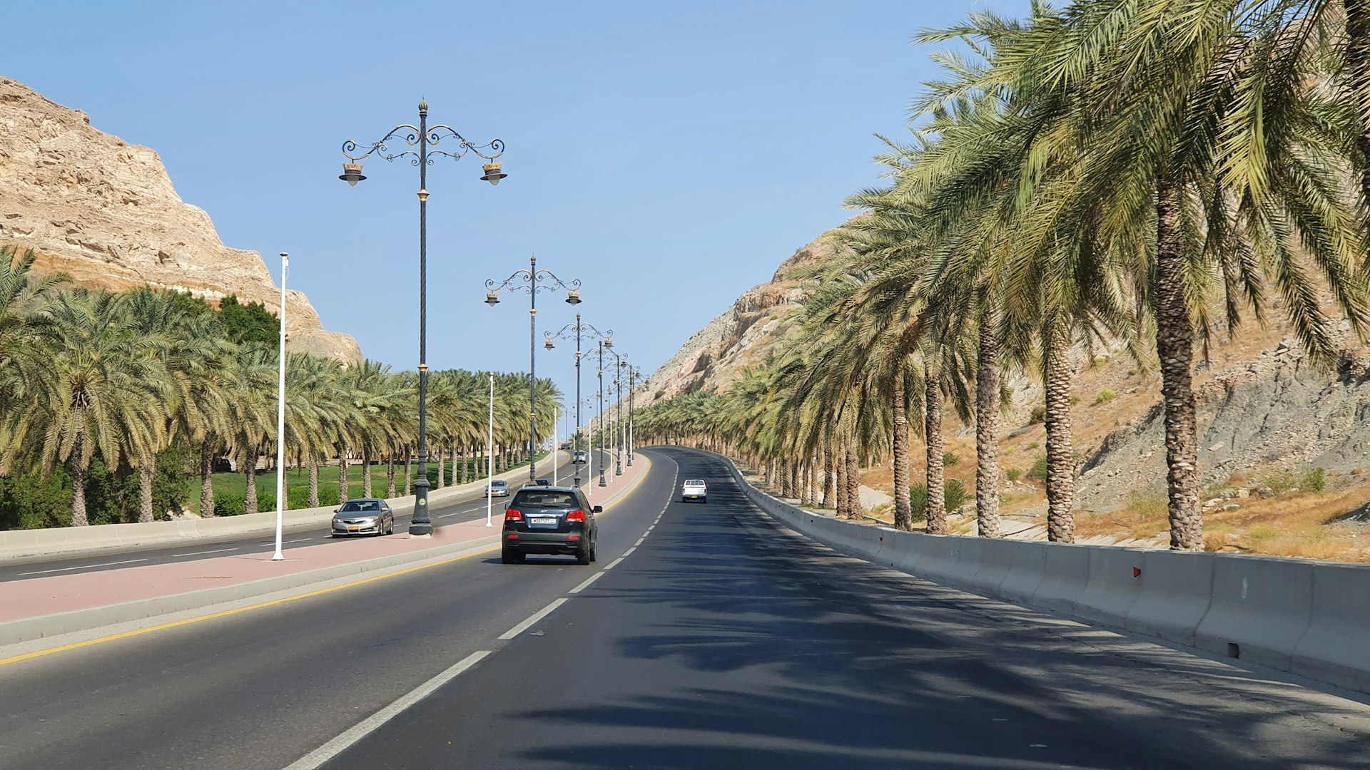 Cars on a palm-lined road